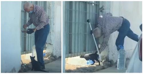 Graban a un anciano que acude todos lo días a una casa abandonada donde vive una gata